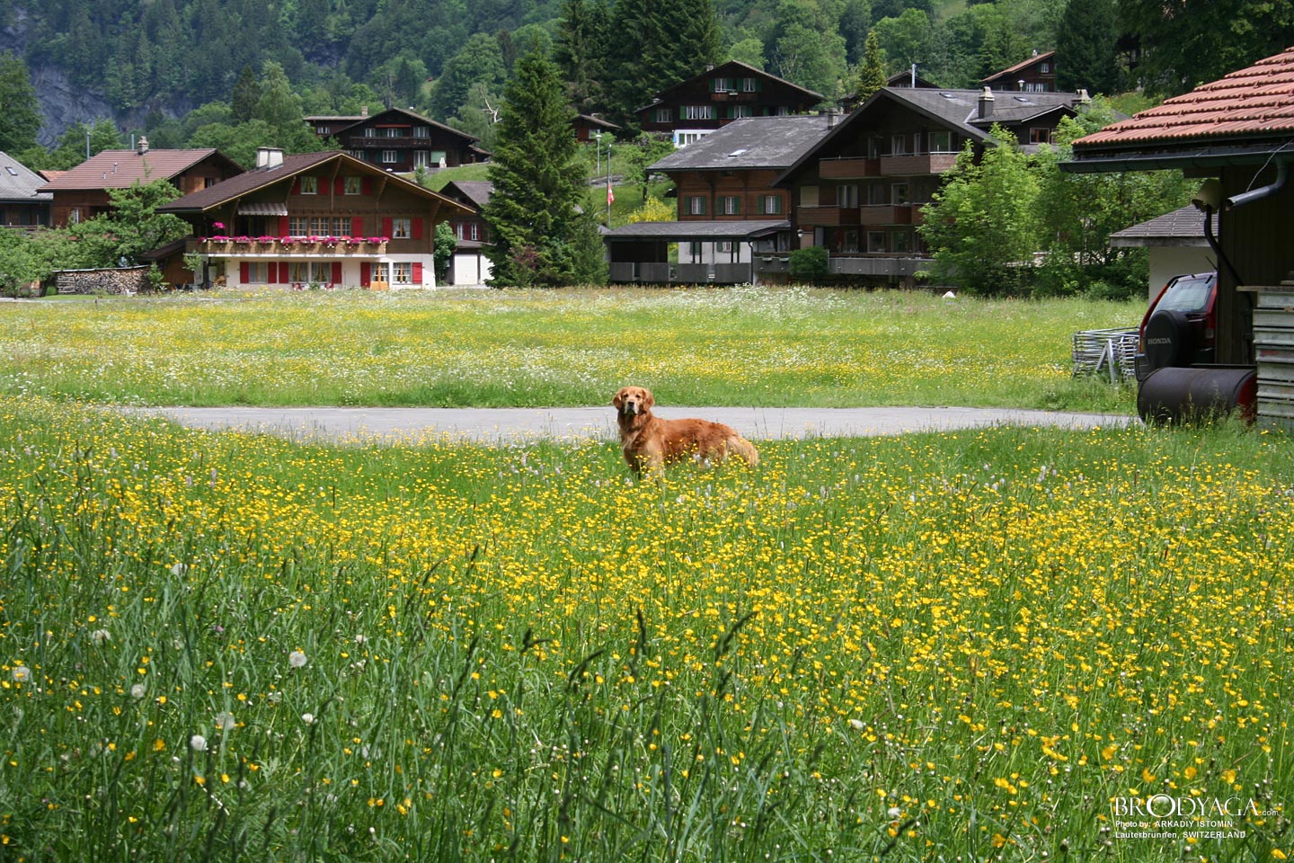 Lauterbrunnen